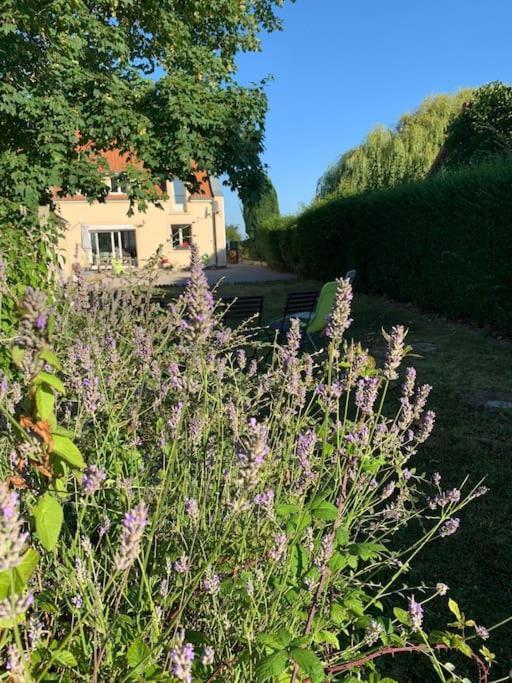 Maison Village, 10 Pers, Proche De La Plage Audinghen Exteriér fotografie